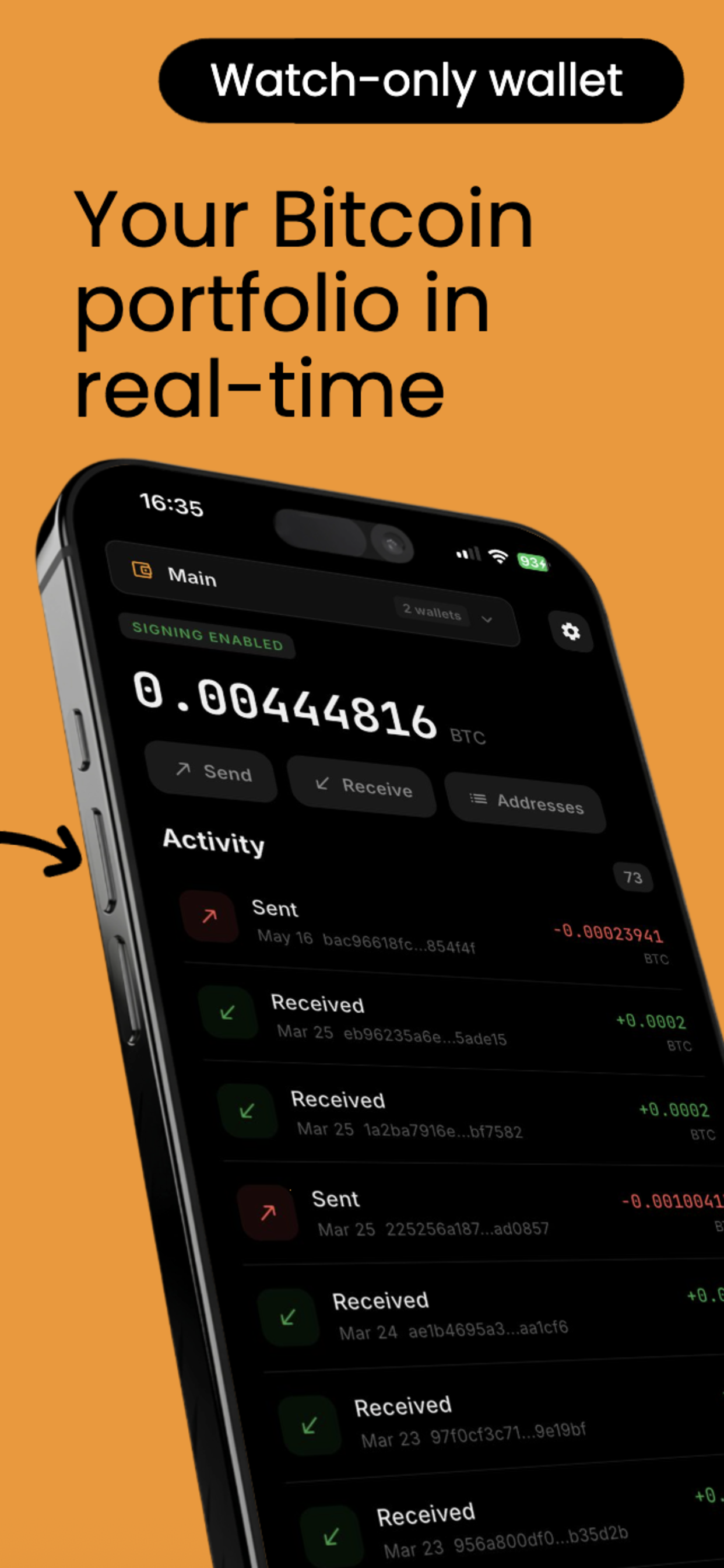 Watch-only wallet showing balance and transaction history